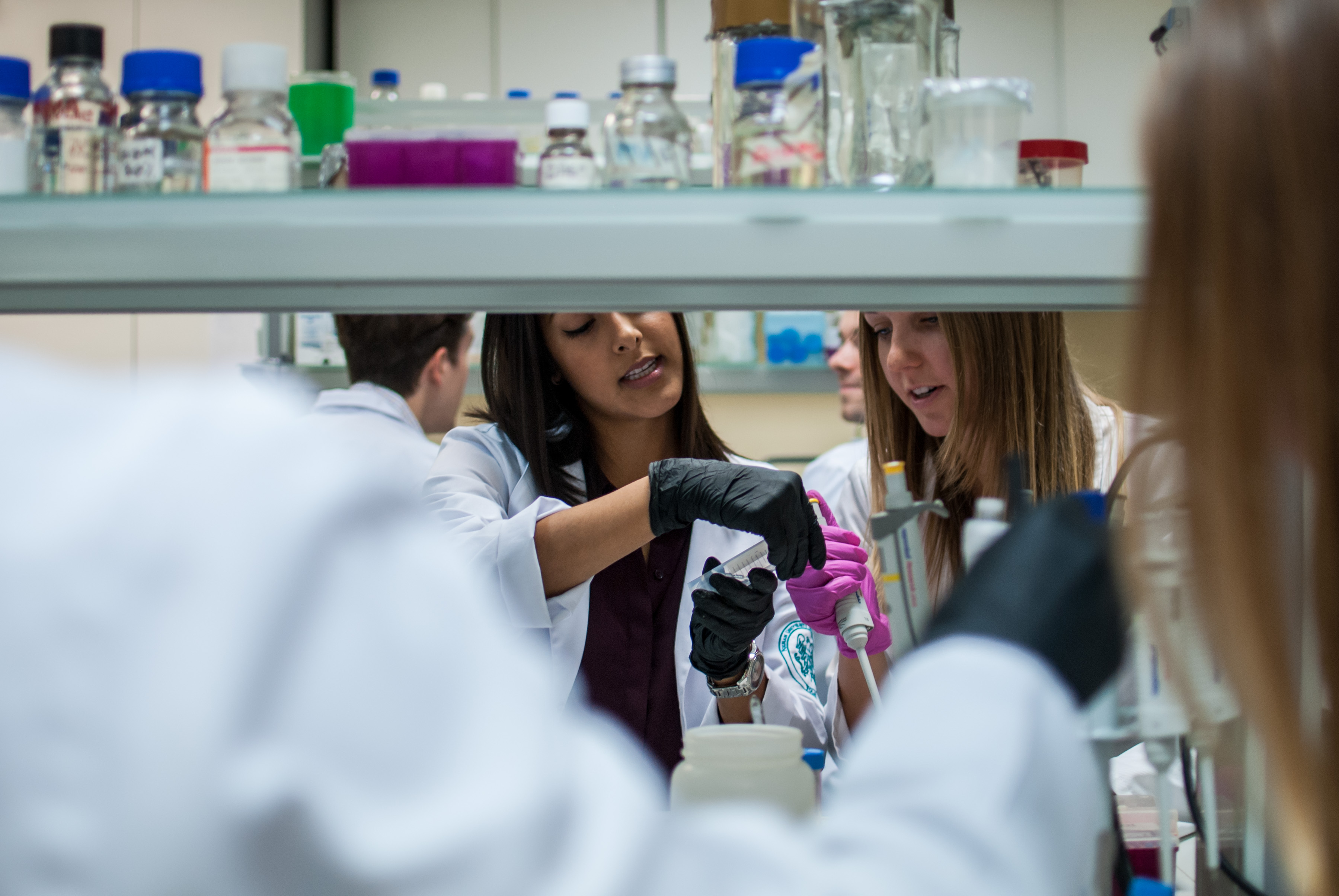 people working in a lab